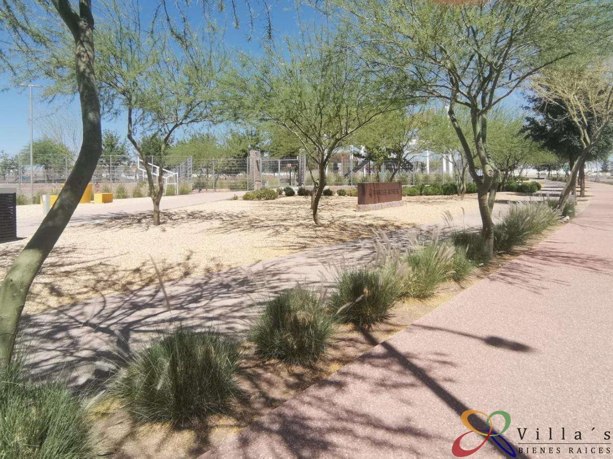 Parque Boreal.jpeg
